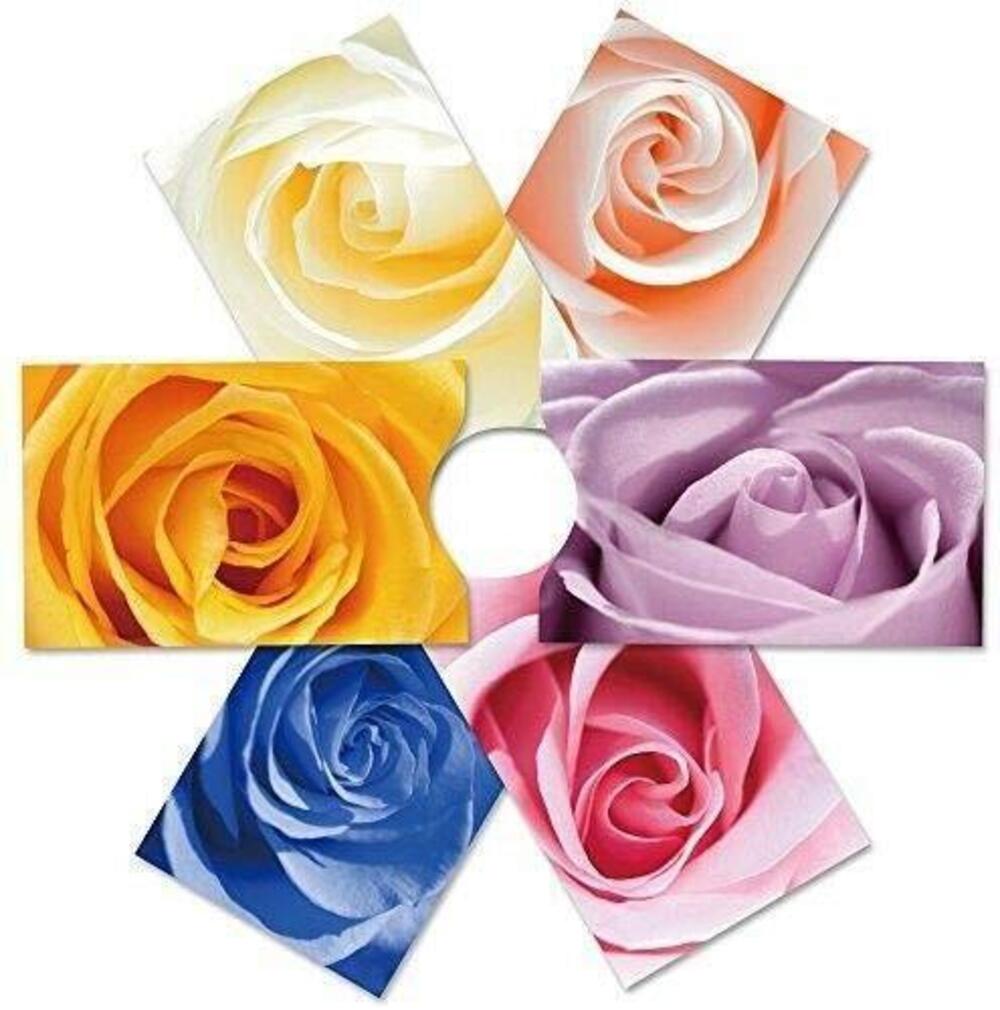 7966 RFID Blocking Credit Card Sleeves Roses